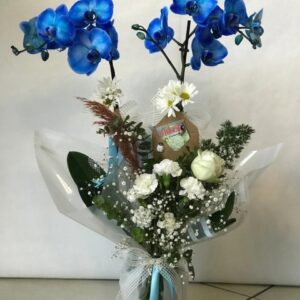 çift dallı mavi orkide