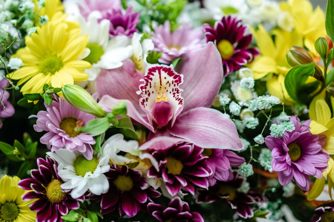 about-01 Vibrant assortment of fresh flowers including orchid, daisies, and greenery in a close-up shot.