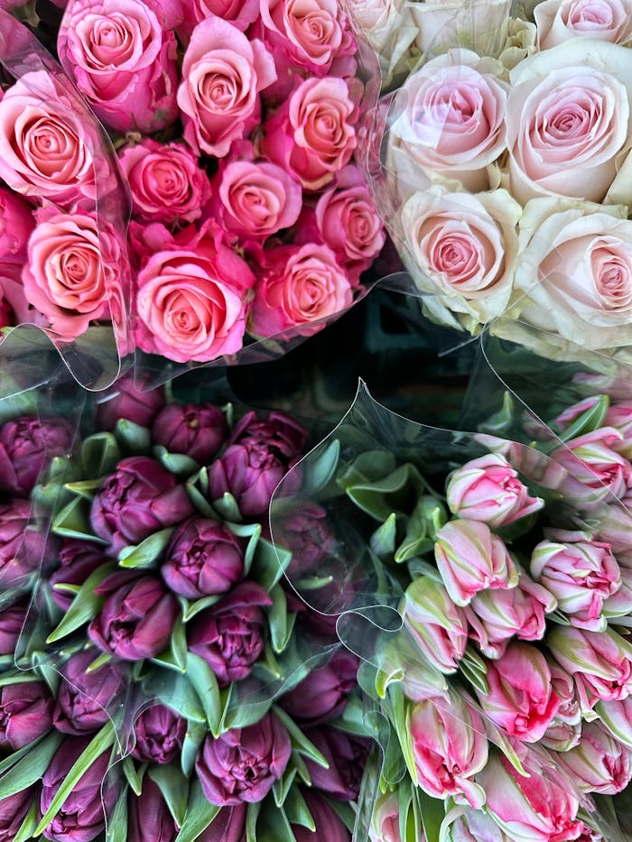 gallery-4 Colorful assortment of pink and white roses and tulips, perfect for floral arrangements.