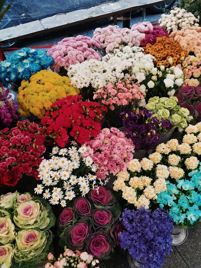 gallery-3 A stunning array of multicolored flowers in a market setting, showcasing nature's vibrant beauty.