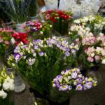 Vibrant selection of assorted flower bouquets on display at a local market.