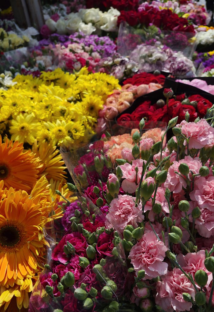 gallery-6 Colorful assortment of flowers beautifully arranged at an outdoor market.